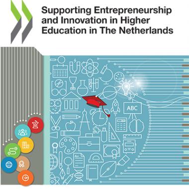 HEInnovate Netherlands Report